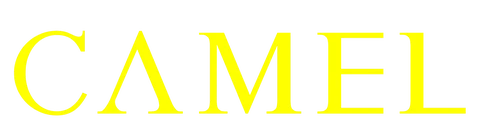 Camel Delivery Service logo