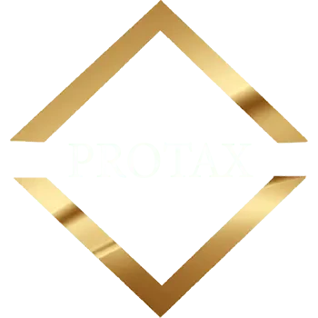 Professional Auditor Company Professional Auditor Company logo
